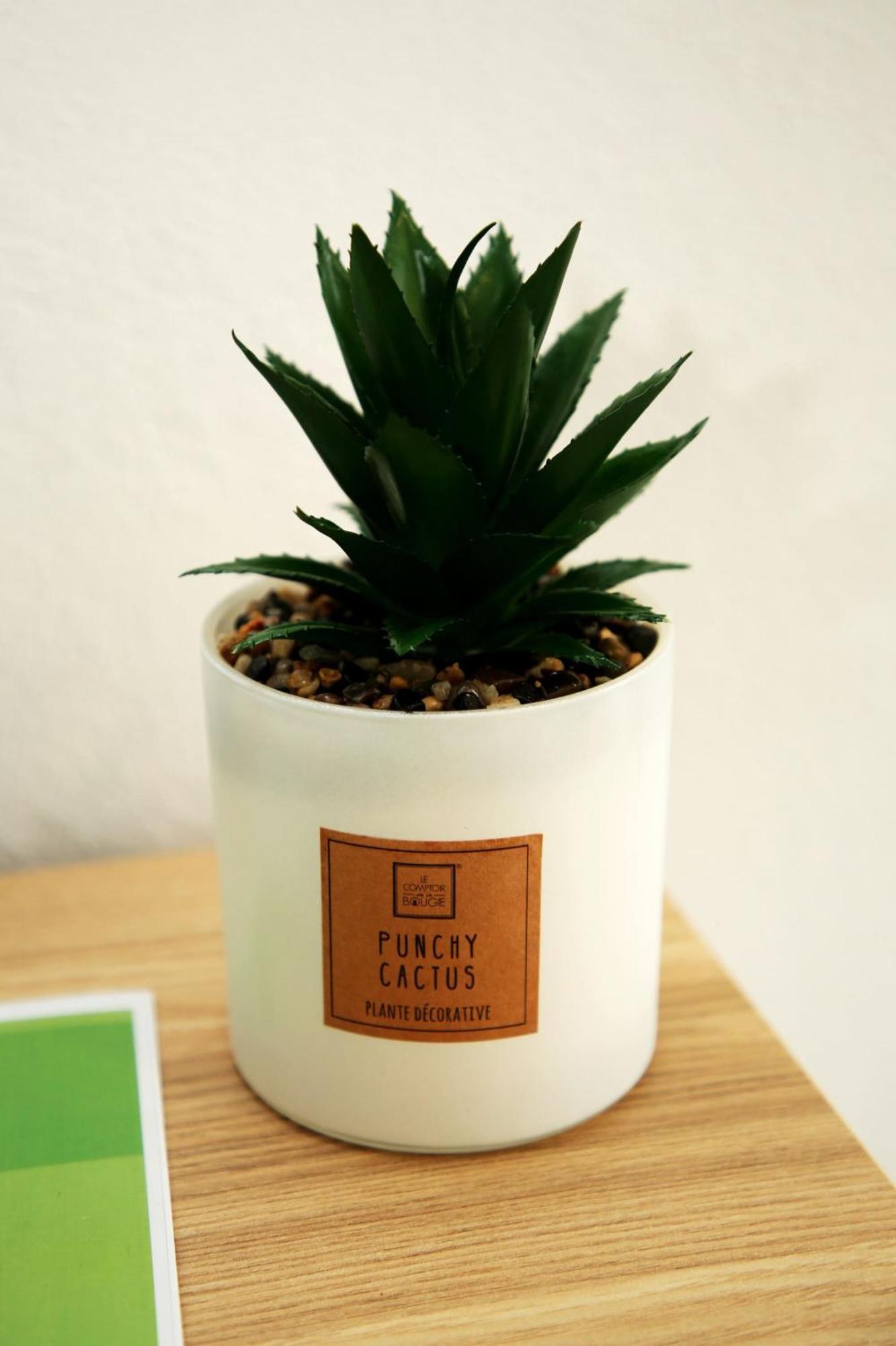 Apartamento Mae De Deus Ponta Delgada Esterno foto
